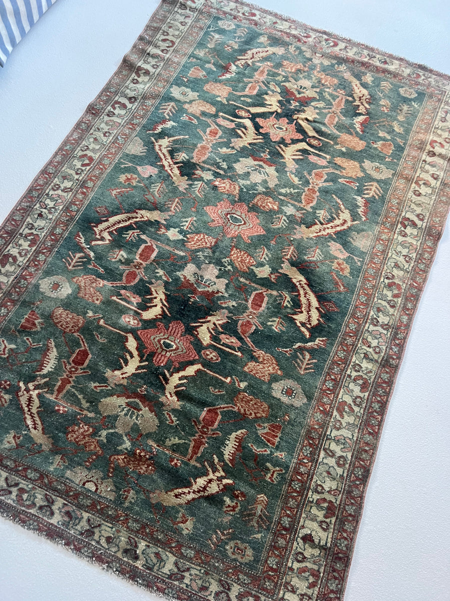 Martha's Vineyard / 4x6