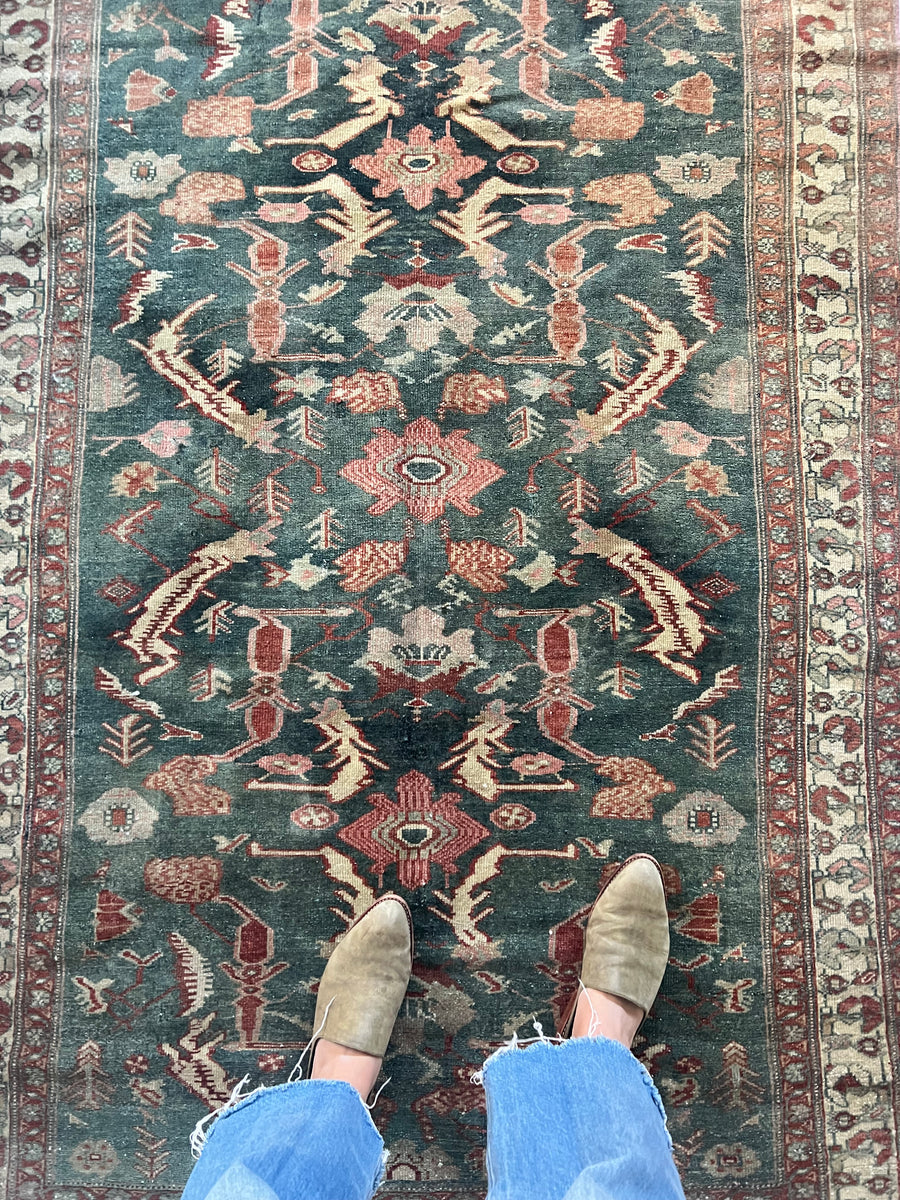 Martha's Vineyard / 4x6