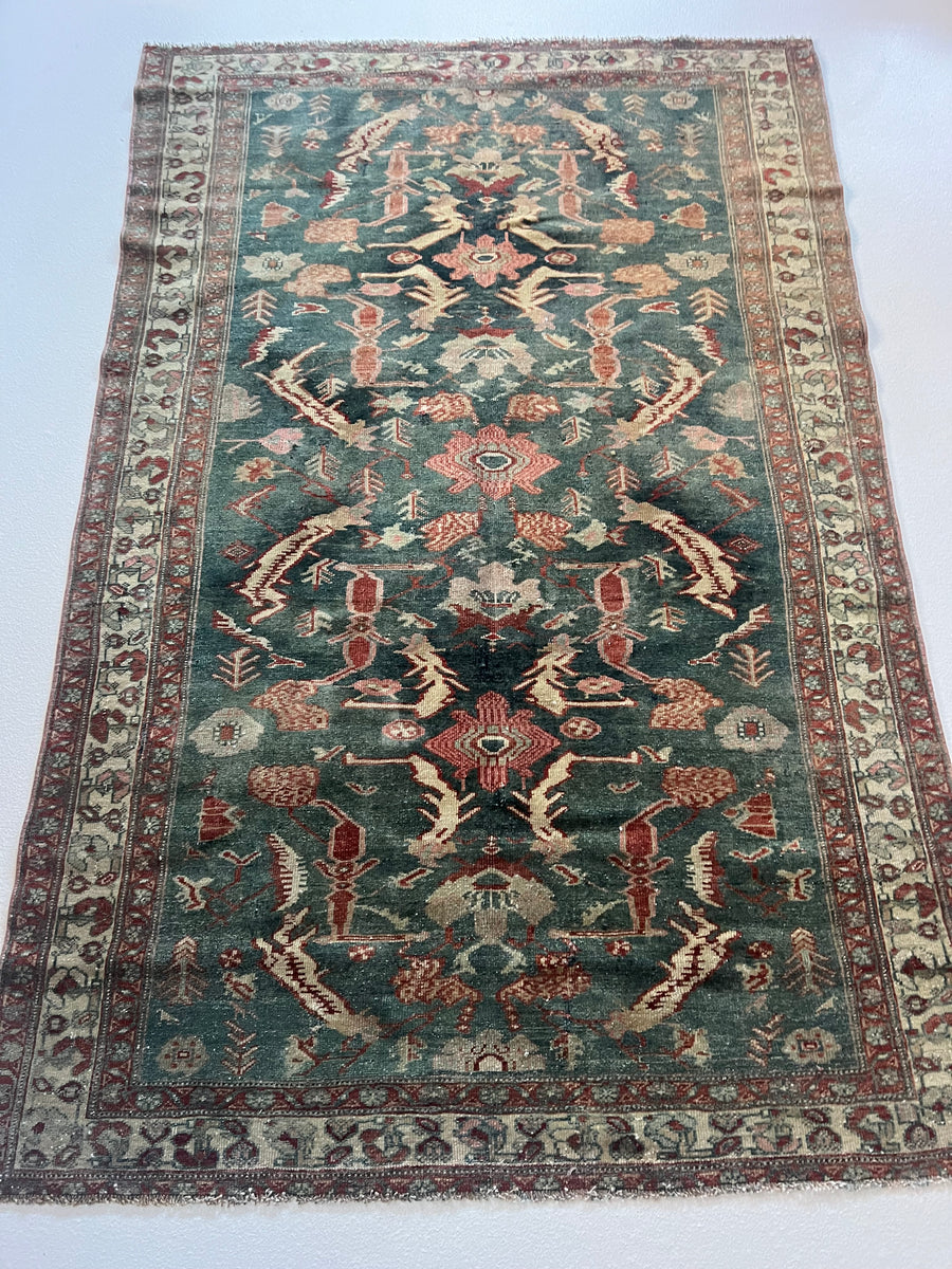 Martha's Vineyard / 4x6